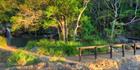 Kondalila Falls - QLD (PB5D 00 51A0143)